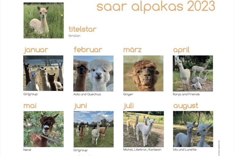 Saar Alpaka Kalender